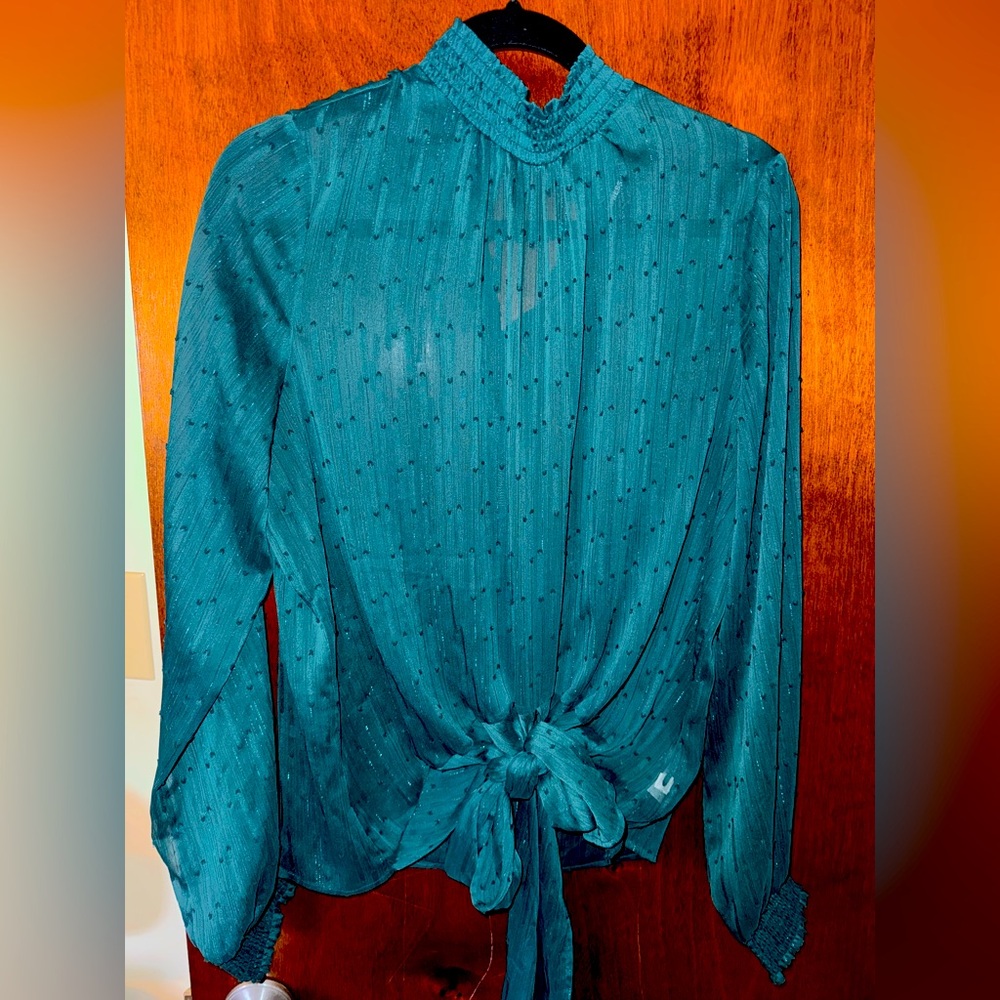 EUC express sheer shimmery top size L OR 5 for $40 express tops bundle